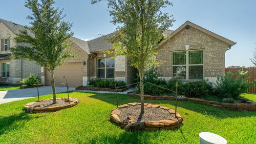 Friendswood 1-story, 4-bed 2572 Ravenna Court-idx