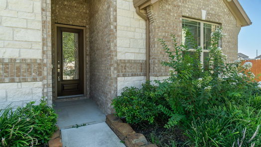 Friendswood 1-story, 4-bed 2572 Ravenna Court-idx