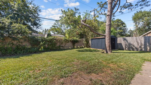 Friendswood 1-story, 3-bed 502 Brendon Park Lane-idx