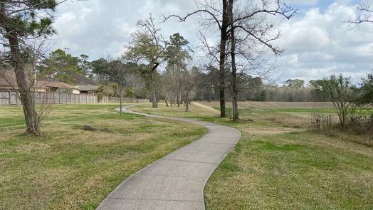 Friendswood 1-story, 4-bed 1007 Oak Park Lane-idx