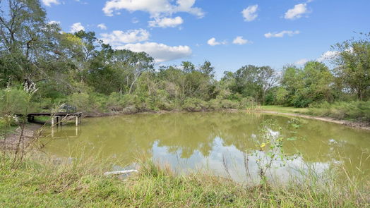 Friendswood null-story, 5-bed 2600 Ware Dairy Road-idx