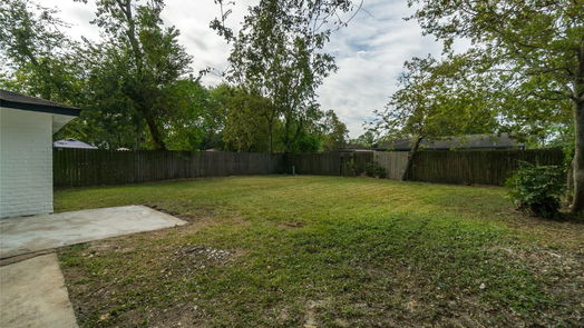 Friendswood null-story, 3-bed 17006 Forest Bend Avenue-idx