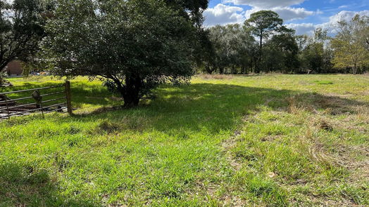 Friendswood null-story, null-bed 0 Tanglewood Dr Drive-idx