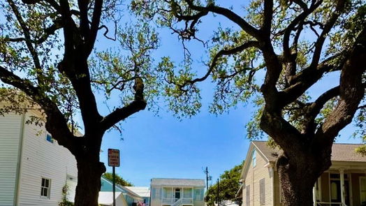 Galveston 1-story, 1-bed 2107 Avenue M 1/2-idx