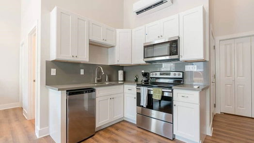 Galveston null-story, 1-bed 315 Tremont Street 201-idx