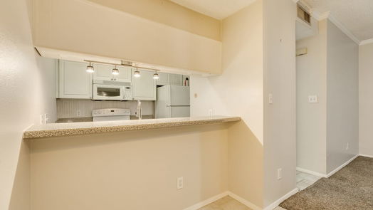 Galveston null-story, 1-bed 7041 N Holiday Drive-idx