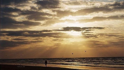 Galveston null-story, 1-bed 7000 Seawall Boulevard 1124-idx