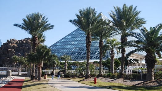 Galveston null-story, 1-bed 7000 Seawall Boulevard 1124-idx