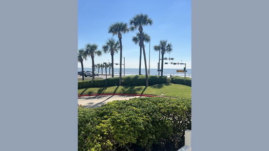 Galveston null-story, 1-bed 6102 Seawall Boulevard 101-idx