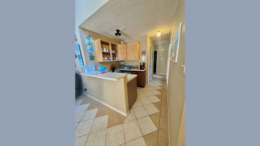 Galveston null-story, 4-bed 3511 DOMINIQUE Drive-idx