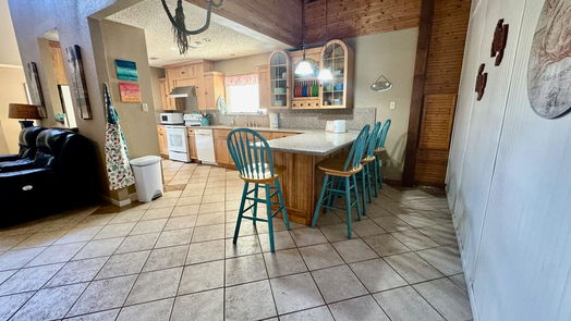 Galveston null-story, 4-bed 3511 DOMINIQUE Drive-idx