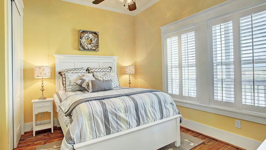 Galveston 3-story, 4-bed 24325 San Luis Pass Road-idx