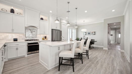 Galveston null-story, 3-bed 4035 Obra Drive-idx
