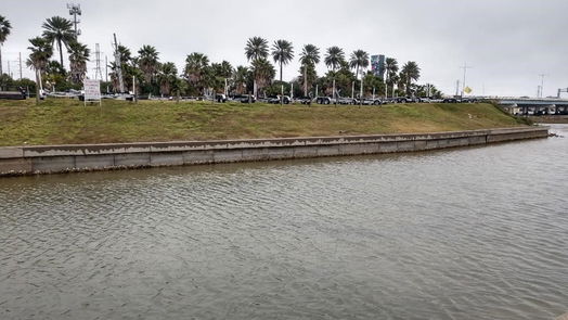 Tiki Island null-story, null-bed 0 jones lake dr-idx