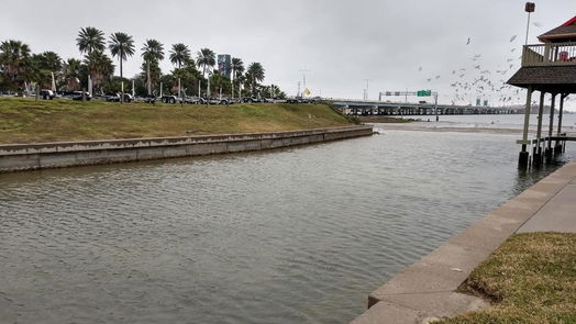 Tiki Island null-story, null-bed 0 jones lake dr-idx