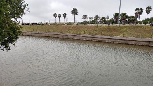 Tiki Island null-story, null-bed 0 jones lake dr-idx