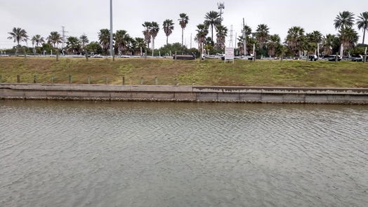 Tiki Island null-story, null-bed 0 jones lake dr-idx