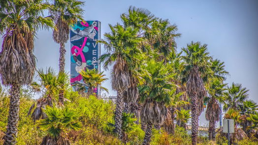 Tiki Island null-story, null-bed 0 jones lake dr-idx