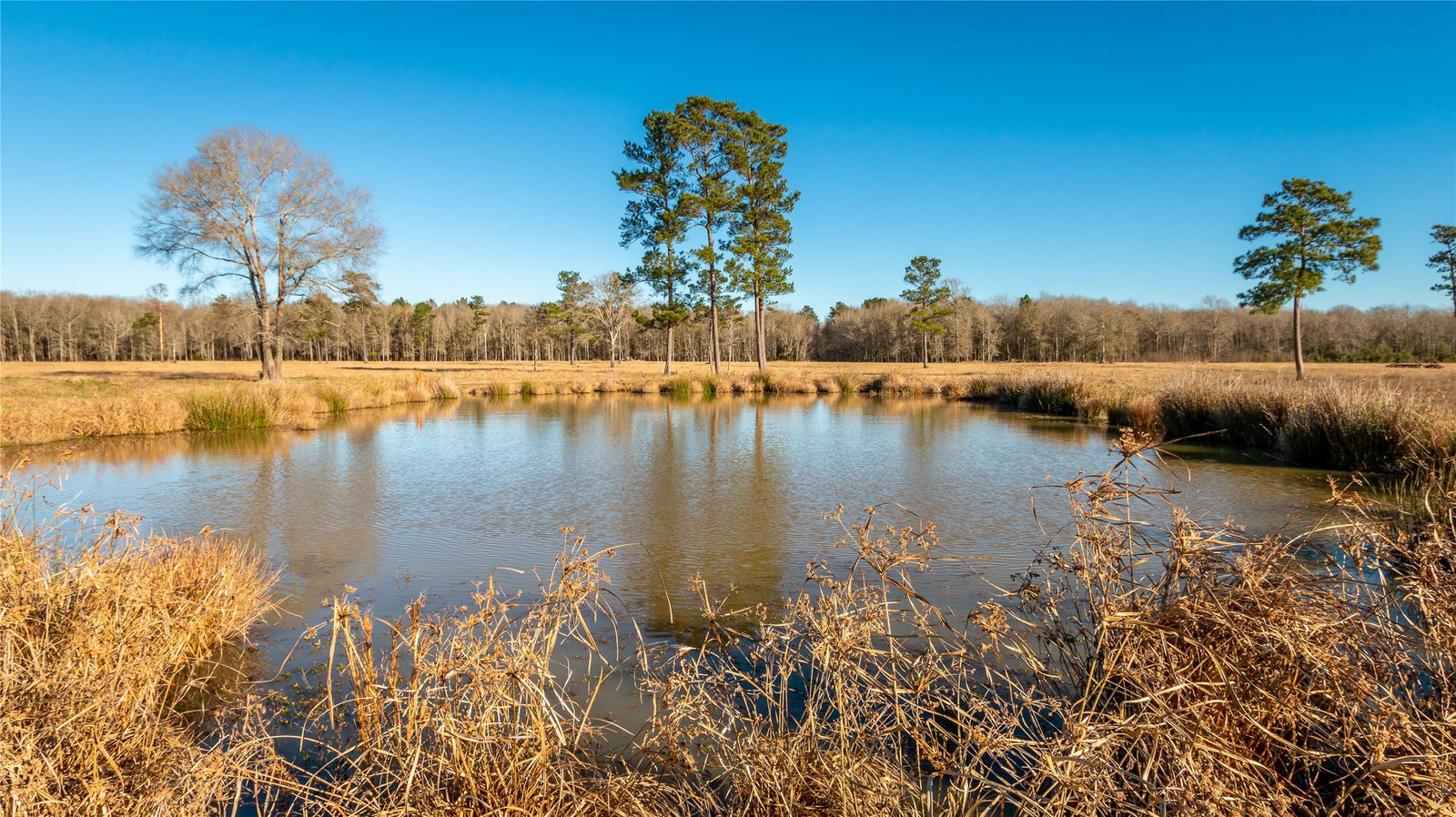 Hardin null-story, null-bed 2104 County Road 2058-idx