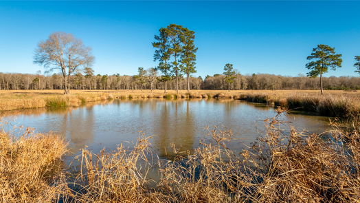 Hardin null-story, null-bed 2104 County Road 2058-idx