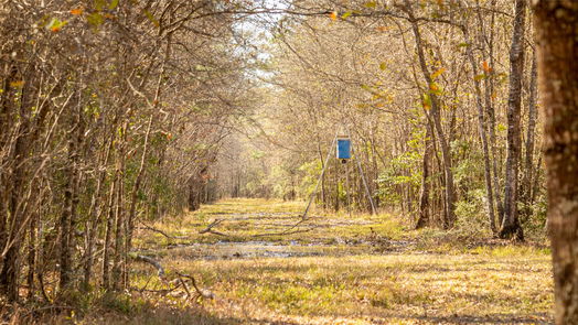 Hardin null-story, null-bed 2104 County Road 2058-idx