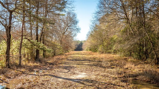 Hardin null-story, null-bed 2104 County Road 2058-idx