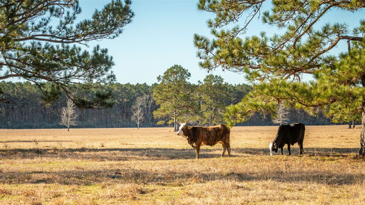 Hardin null-story, null-bed 2104 County Road 2058-idx
