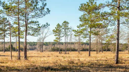 Hardin null-story, null-bed 2104 County Road 2058-idx