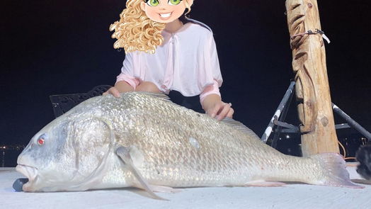 Hitchcock null-story, null-bed 000 Highland Dr Drive-idx