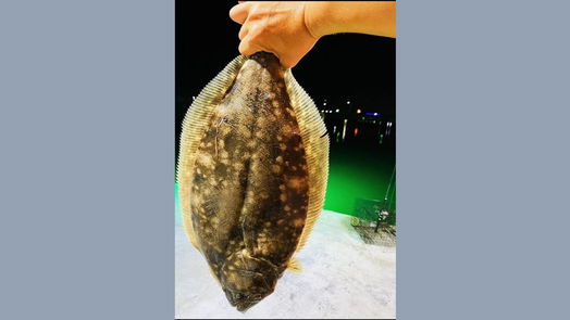 Hitchcock null-story, null-bed 000 Highland Dr Drive-idx