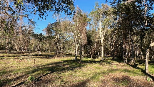 Brazoria null-story, null-bed 471 County Road 849-idx