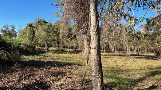 Brazoria null-story, null-bed 471 County Road 849-idx