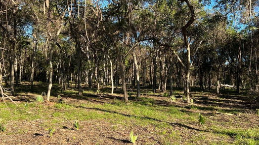 Brazoria null-story, null-bed 471 County Road 849-idx