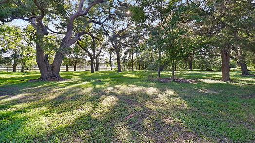 Lake Jackson null-story, null-bed 116 Balsam Street-idx