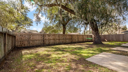 Lake Jackson 1-story, 3-bed 131 Spanish Moss Lane-idx