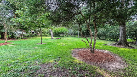 Lake Jackson null-story, 4-bed 319 Linden Lane-idx