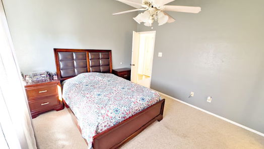 Lake Jackson 1-story, 3-bed 66 Avocado Ct Court-idx