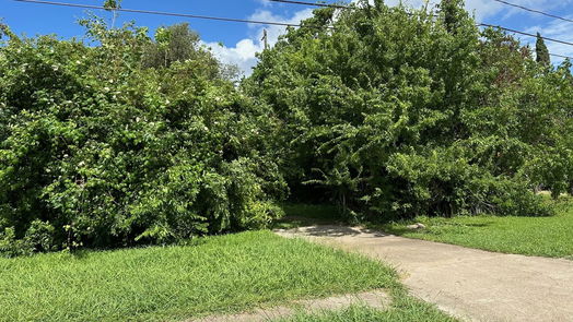 Lake Jackson null-story, null-bed 0 Sycamore-idx