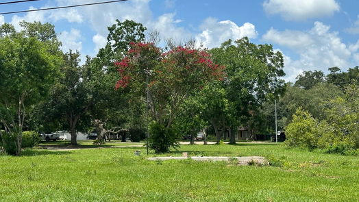 Lake Jackson null-story, null-bed 00 Sycamore Street-idx