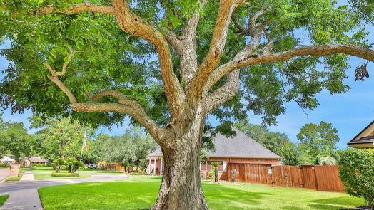 Lake Jackson null-story, 4-bed 107 Pearl Drive-idx