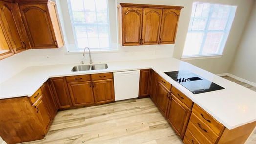 Lake Jackson 2-story, 3-bed 51 Chicory Court-idx