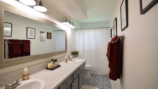 Lake Jackson null-story, 3-bed 110 Larkspur Street-idx