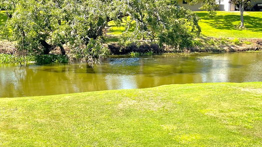 Lake Jackson null-story, 4-bed 308 Creekside Lane-idx