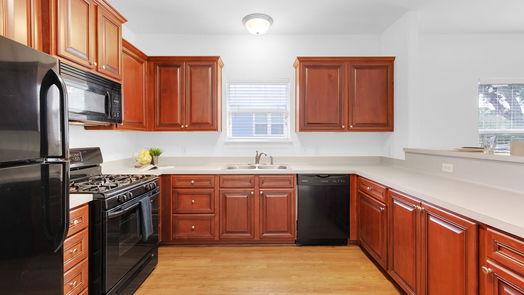 La Marque 1-story, 2-bed 233 Beatrice Street-idx