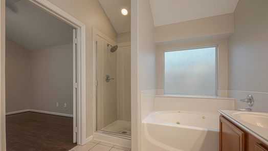 La Marque 1-story, 4-bed 143 Silver Lake Court-idx