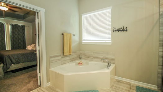 Texas City 2-story, 4-bed 13102 Wintery Tide Drive-idx