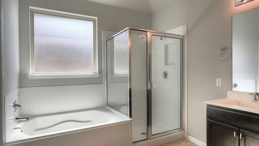 League City 1-story, 4-bed 2614 Pisoni Lane-idx