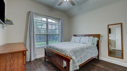 League City 1-story, 4-bed 4832 Piares Lane-idx