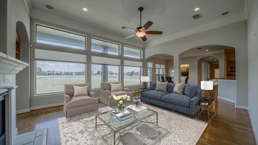 League City 1-story, 4-bed 3909 Olympia Springs Drive-idx