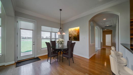League City 1-story, 4-bed 3909 Olympia Springs Drive-idx